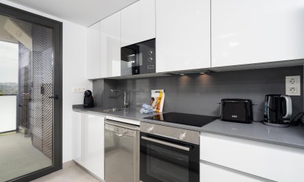 The Knight of the Sun 6