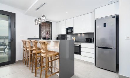 The Knight of the Sun 4