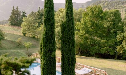 Valley Joy 2