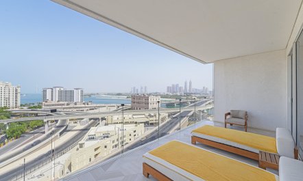 Light of Sophistication 7