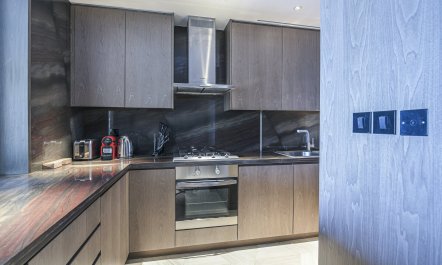 Light of Sophistication 5