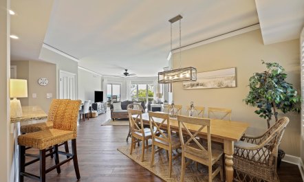 The Moonlight Song 5