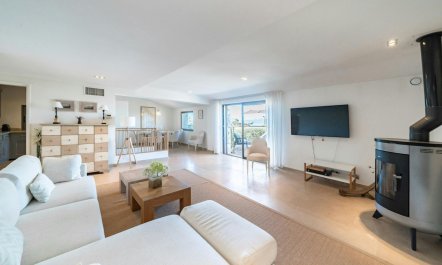 Sunny French Haven 1