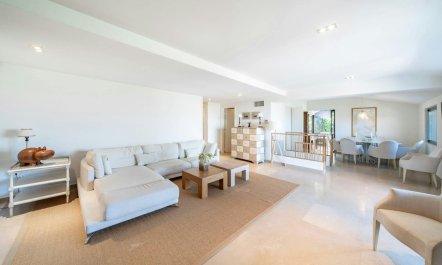 Sunny French Haven 5