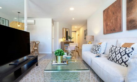 The Light in Malaga 3