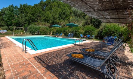 Lavender, Basil & Rosemary 2