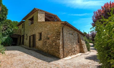 Lavender, Basil & Rosemary 1