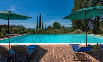 Lavender, Basil & Rosemary 3