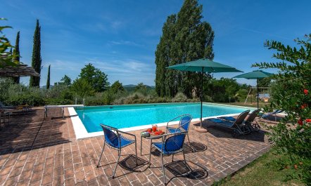 Lavender, Basil & Rosemary 4