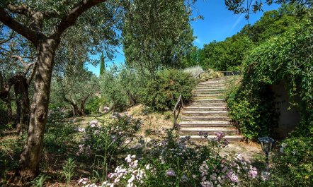 Lavender, Basil & Rosemary 8