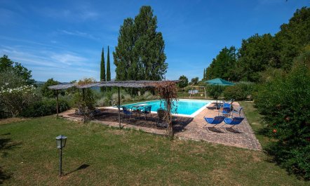 Lavender, Basil & Rosemary 7