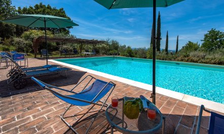 Lavender, Basil & Rosemary 6