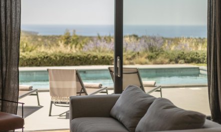 Take Me Out to The Ball 8