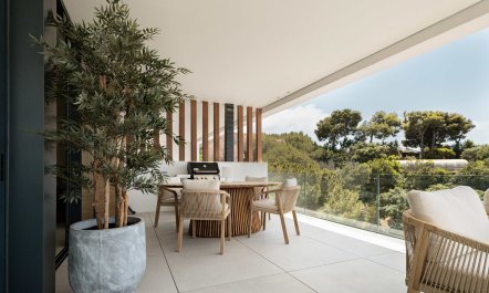 From Sunrise to Sunset 6