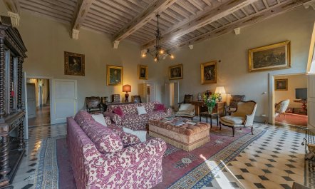 Cypress Trees & Wineries 4