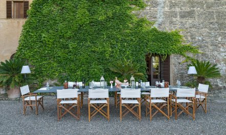 Cypress Trees & Wineries 2