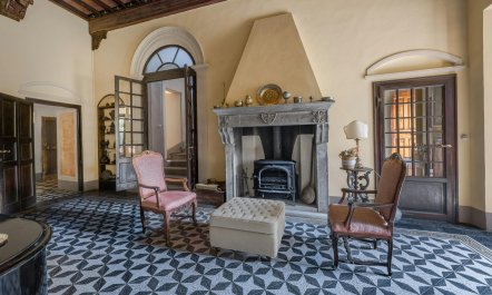 Cypress Trees & Wineries 8