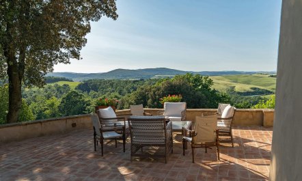 Cypress Trees & Wineries 3