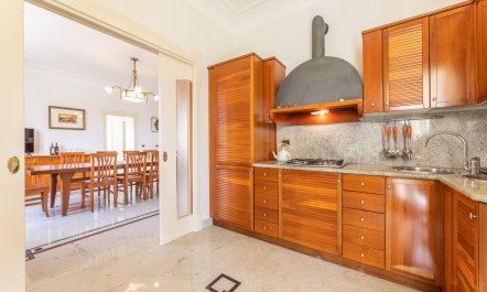 The Sunny Coastline 9