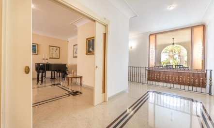 The Sunny Coastline 5