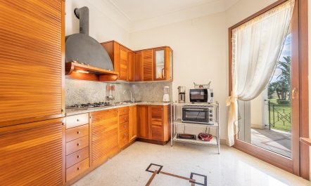 The Sunny Coastline 8