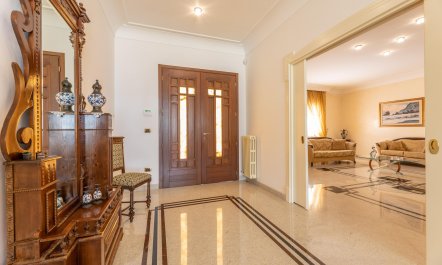 The Sunny Coastline 7