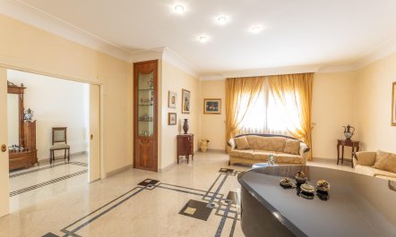 The Sunny Coastline 4