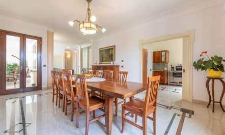 The Sunny Coastline 6