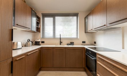 An Uncharted Oasis 7