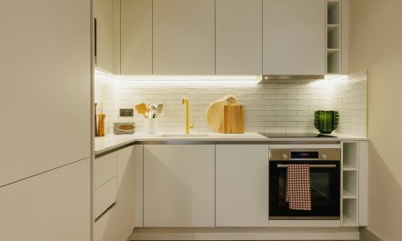 Tottenham Sanctuary 5