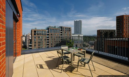 Tottenham Sanctuary 1