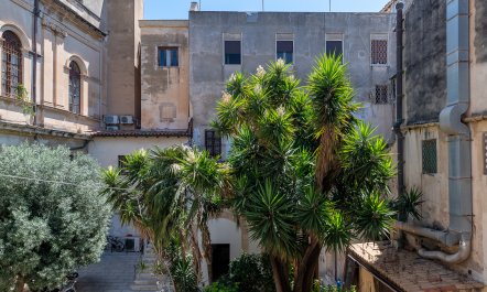 Mediterranean Zenith 4