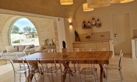 Olive Tree Paradise 5