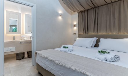 Olive Tree Paradise 7