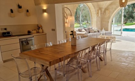 Olive Tree Paradise 6