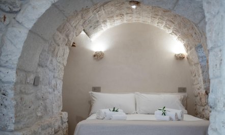 Olive Tree Paradise 9