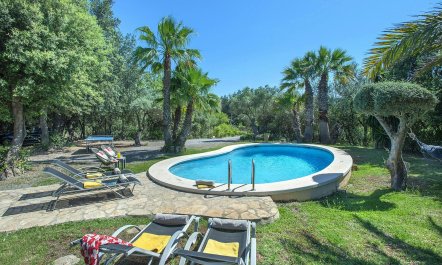 Olive Tree Dwelling 3