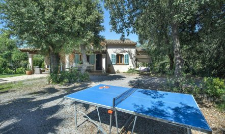 Olive Tree Dwelling 7