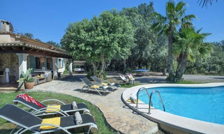 Olive Tree Dwelling 2