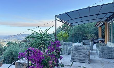 Lavenders & Islands