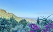 Lavenders & Islands 2