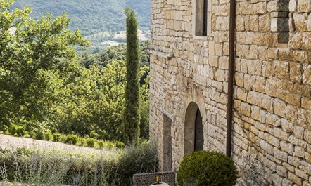 Hillside Sanctuary 3