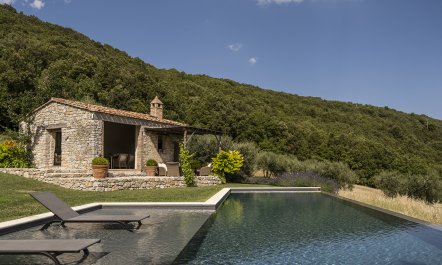 Hillside Sanctuary 6