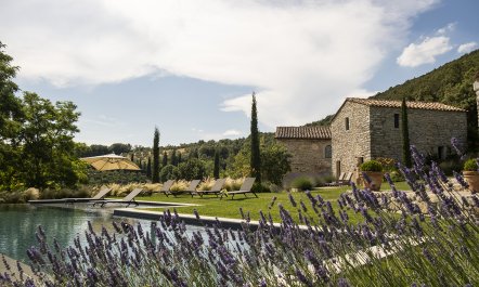 Hillside Sanctuary 7