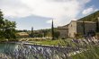 Hillside Sanctuary 7