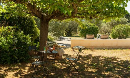 Picturesque & Peaceful Retreat 7