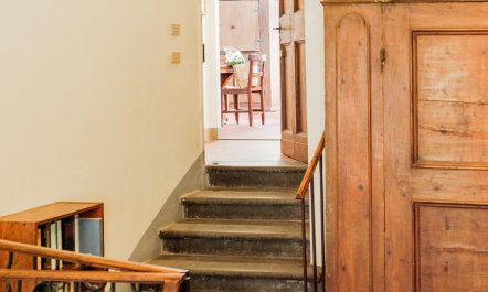 Renaissance Reborn 4