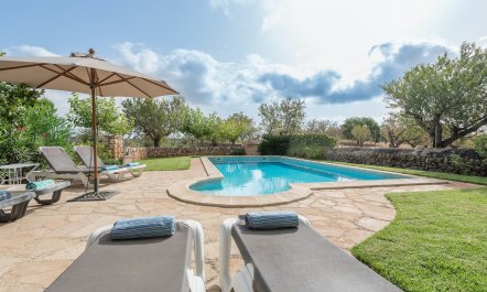 The Little Seashell 2