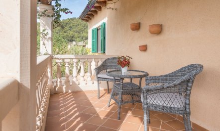 The Little Seashell 8