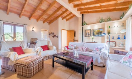 The Little Seashell 9